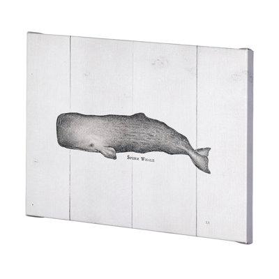 Sperm Whale a Hand Embelished Textured Canvas