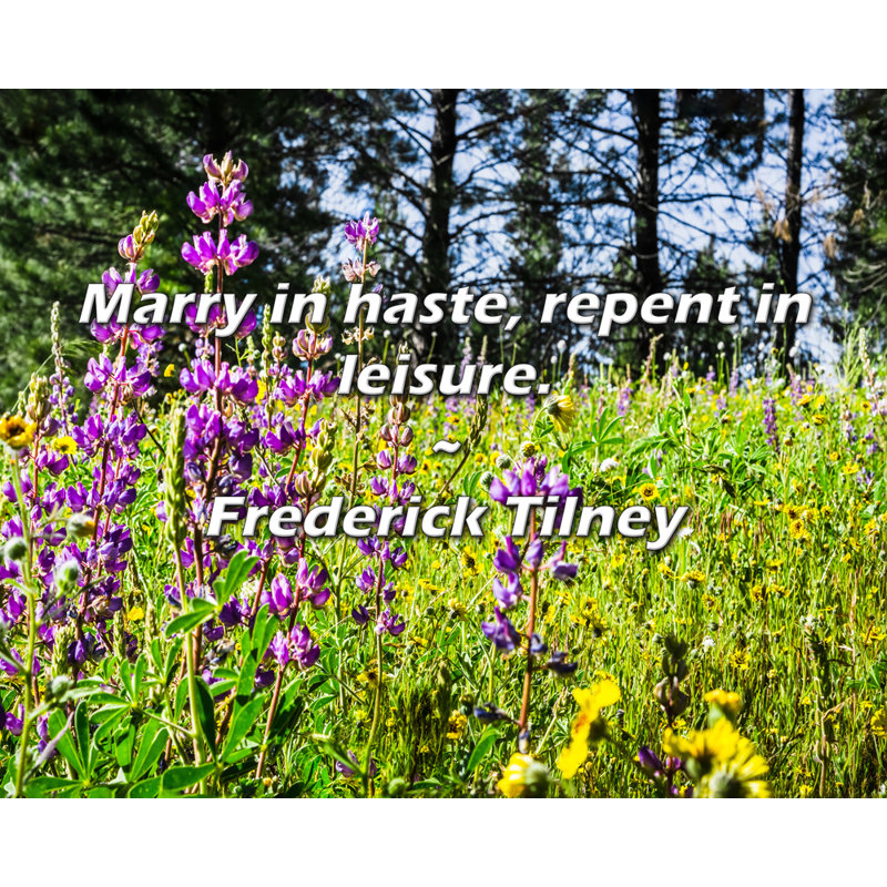 Citation de Frederick Tilney: Mariez-vous à la hâte, repentez-vous en loisir., H 15 po x l 18 po