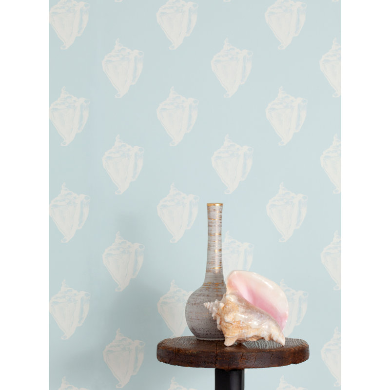 Conch, Java