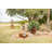 Opheim Wood Barrel Planter