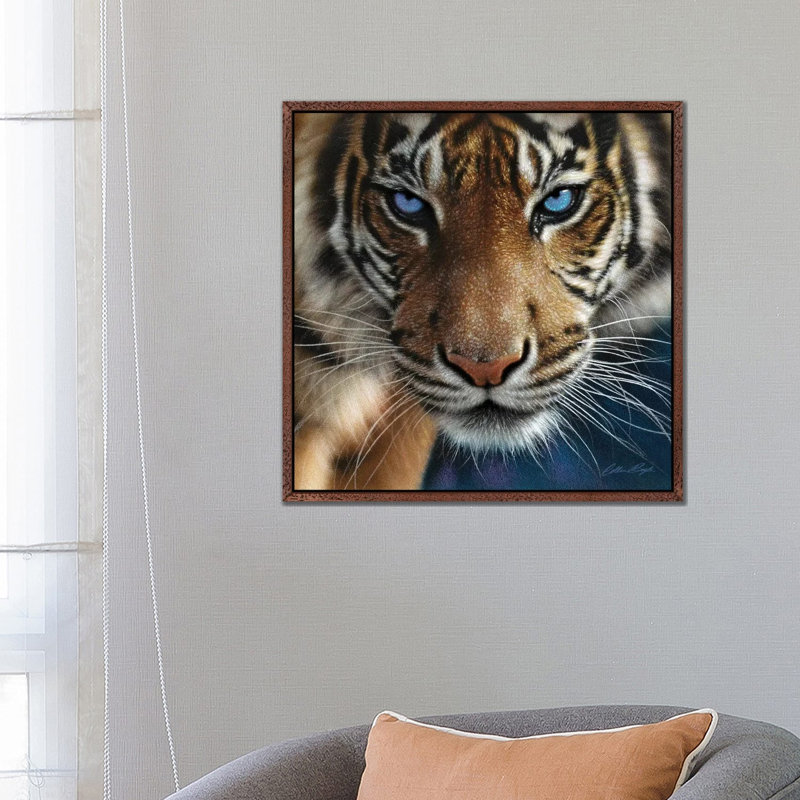 Tiger - Blue Eyes by Collin Bogle - Print on Canvas, 66.04 cm H x 66.04 cm W, Classic Brown Wood Framed Canvas