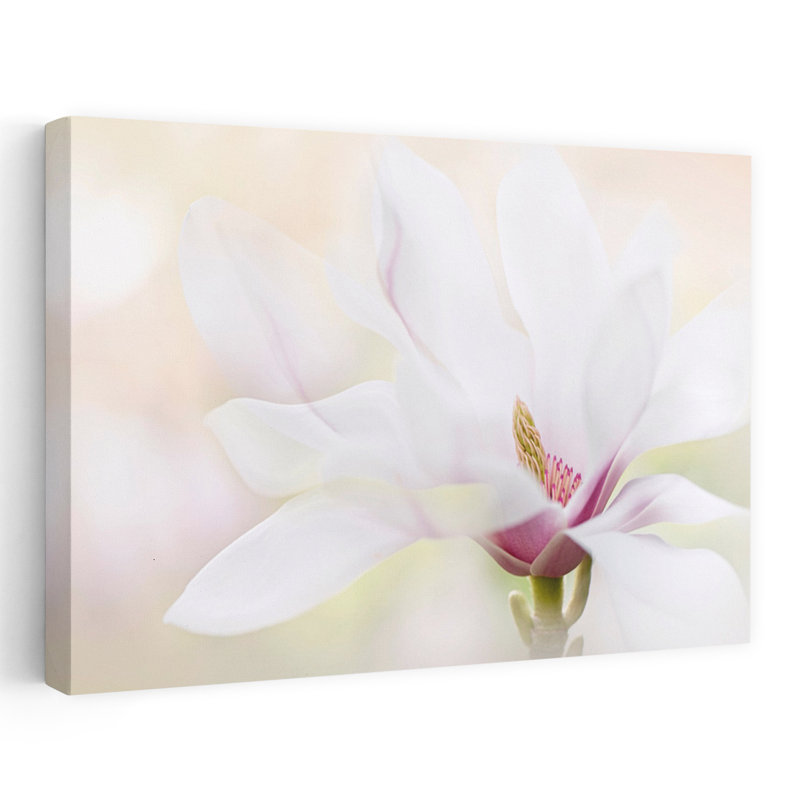 Art contemporain fleur de magnolia, H 16 po x l 24 po