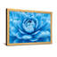Plantes et fleurs, motif de pétales de fleurs bleues-1025674602-1025674605-1025674607