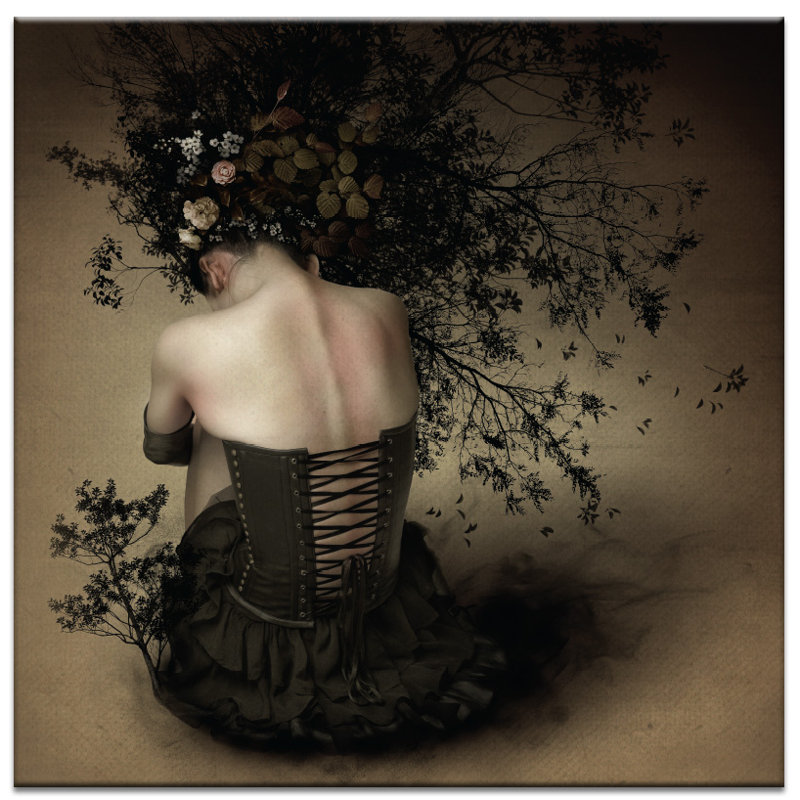 Wrapped Canvas Print, 41cm H x 41cm W