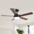 Vaczon 48" 5 - Blade Modern Ceiling Fan with LED Lights and Remote Control-2017049164