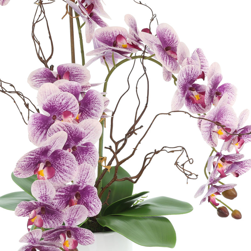 Modern Orchid Arrangement in Round Fiberstone Pot, Purple