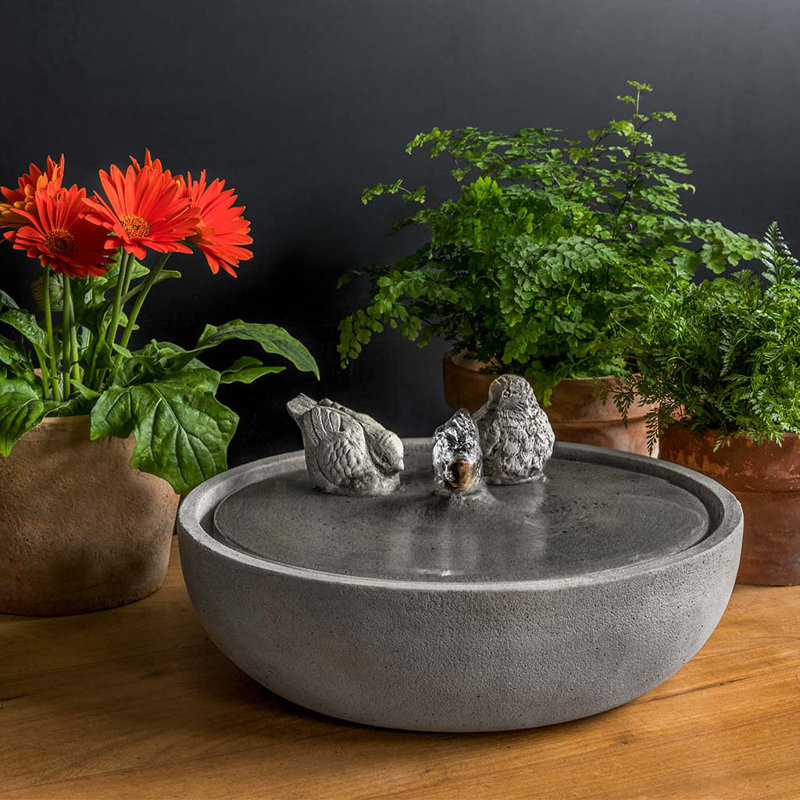 Chrisalyn Hand Crafted Weather Resistant Birdbath Fountain, English Moss