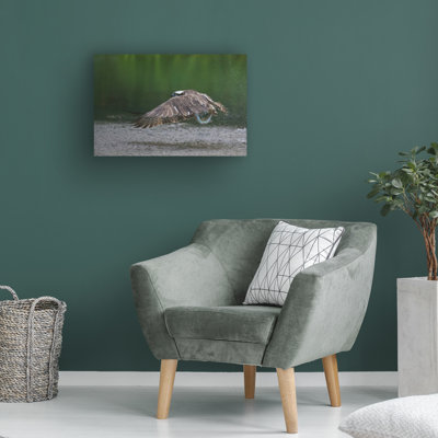 Art sur toile, "ologia bololog "