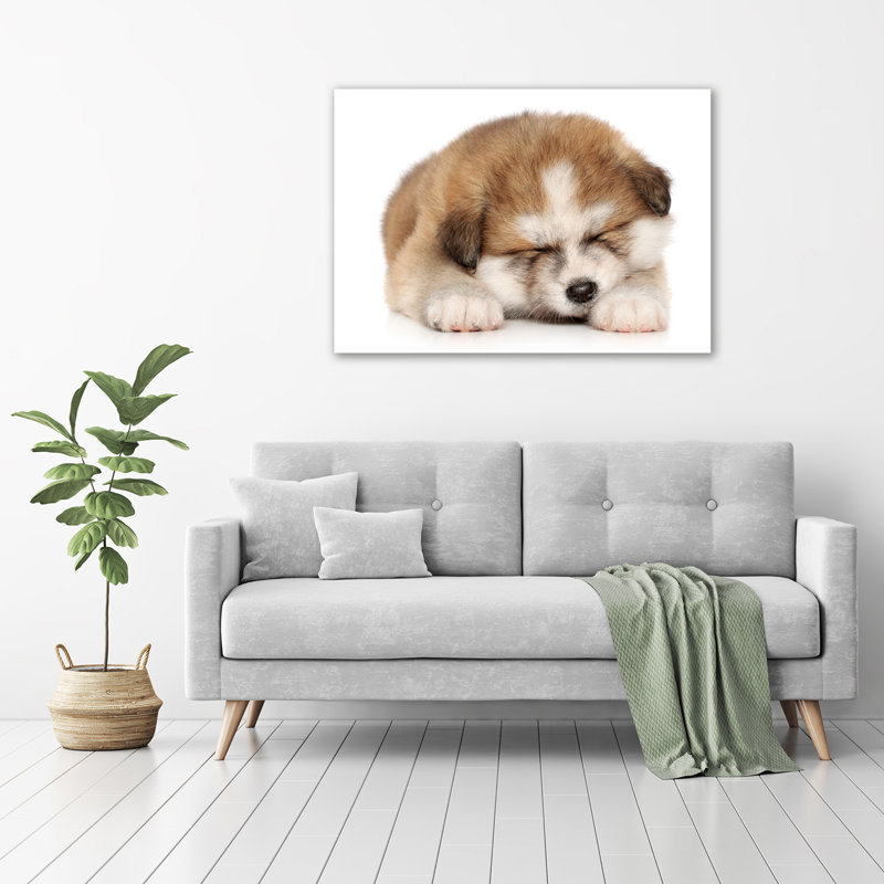 Akita Puppy - Wrapped Canvas Print