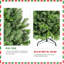Arbre de Noël 5 pi-1442735119