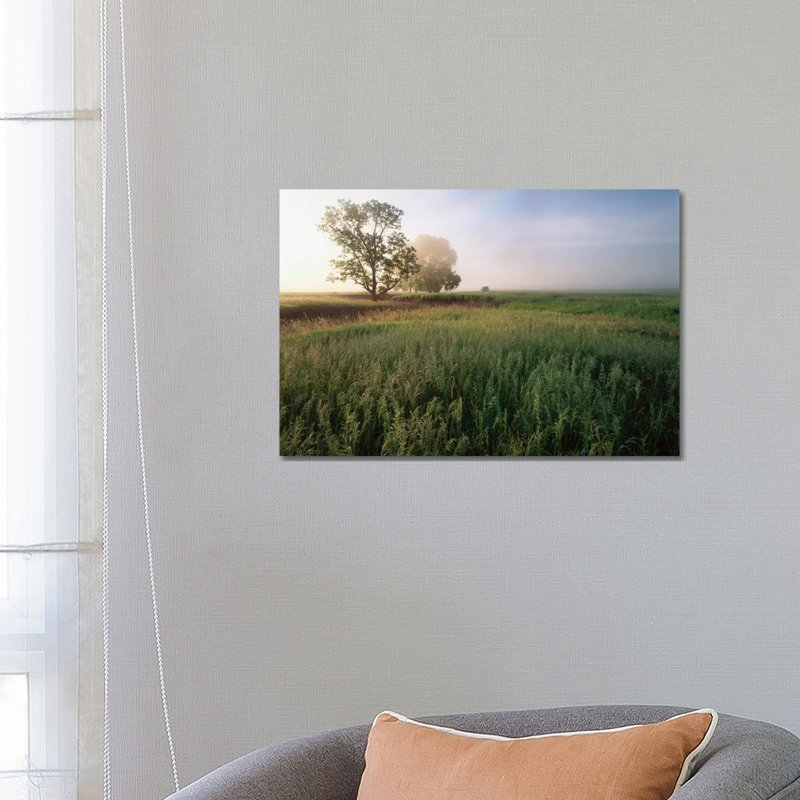 Oak Trees Shrouded In Fog, Tallgrass Prairie In Flint Hills Which Has Been Taken Over By Invasive Great Brome Grass, Kansas by Tim Fitzharris - Wrapped Canvas Print