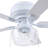 MaCenna 52'' Ceiling Fan with Light Kit-883726962