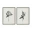 "Vintage Botanical 1 and 2" par Teju Reval, ensemble d'art mural sur toile encadrée-1307613334
