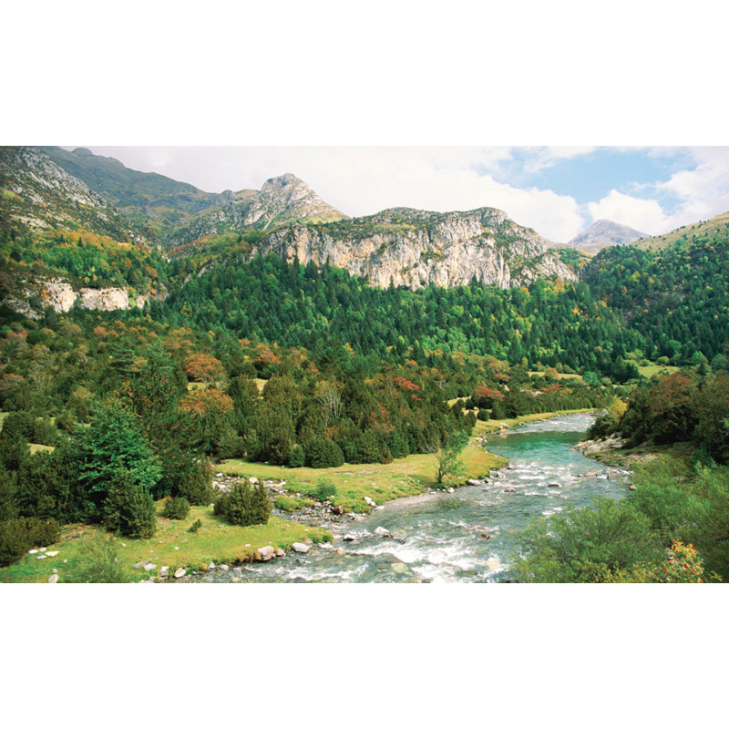Landscape & Nature Non-Wall Damaging Window Decal