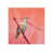Glass Coat