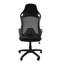 Eliezer Office Chair with Headrest