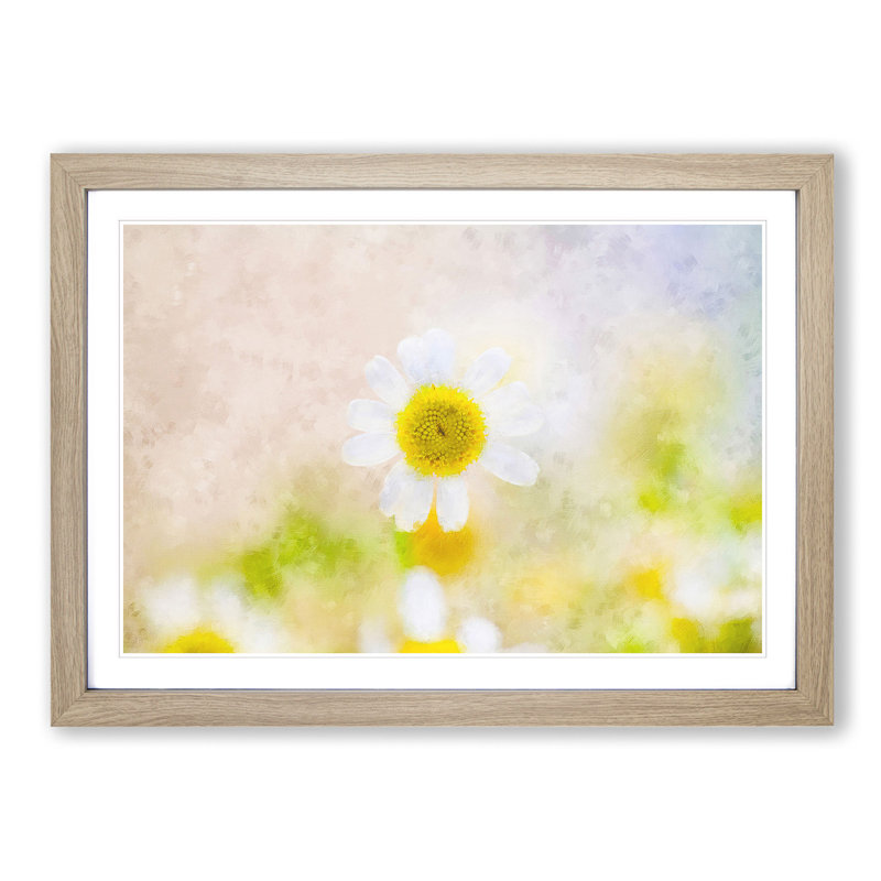 Daisy Flower View - Picture Frame Painting Print, 62cm H x 87cm W x 2cm D, Oak Framed