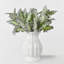 Audet vert faux Senecio Cineraria (1 tige)