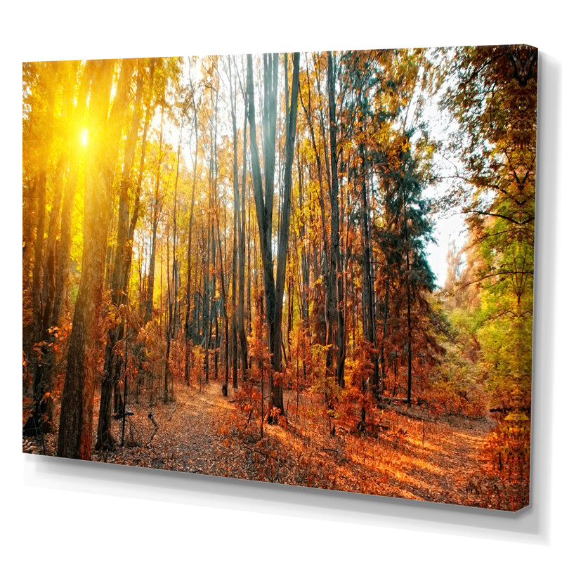 «Sunset Autumn Forest Panorama», reproduction sur toile, H 16 po x l 32 po x P 1 po, Toile tendue