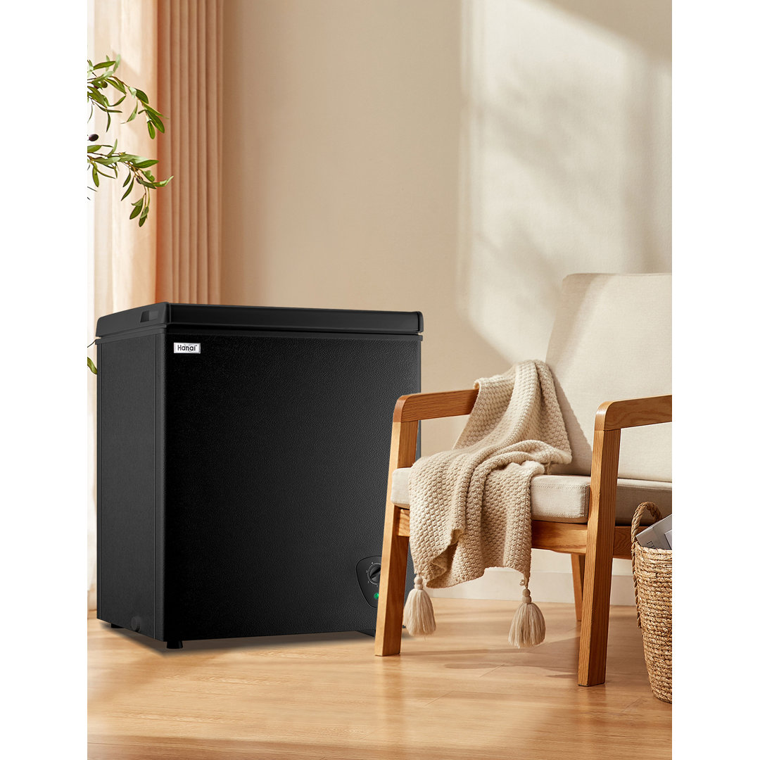 4.0 Cubic Feet Freezer with Adjustable Temperature Controls WANAI 