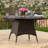 Outdoor Rd Table , 48"X48"X28.25", Brown Pe , Iron Frame, Water , Stylish Patio Furniture 48" Diameter, 28.25" Height,