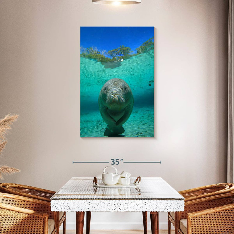 Brampt Crystal River Manatee, 45" H x 30" W