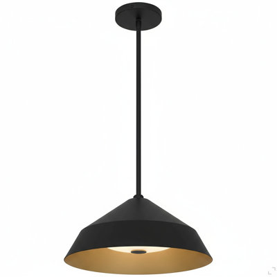 Luminaire suspendu à DEL 14 pouces de diamètre intégré noir