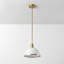 1 - Light Single Pendant-61610173