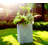 Planter-233710366-233710367