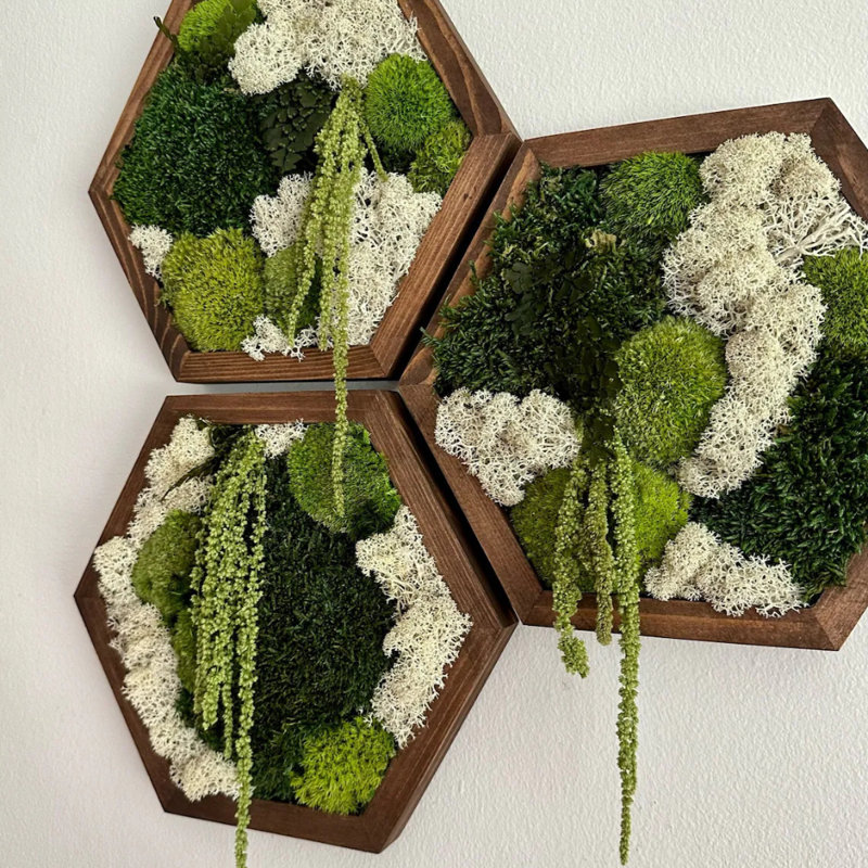 Moss Wall Art
