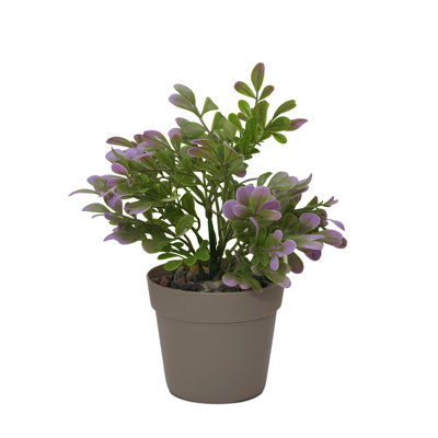 Cisneros Decorative Pot