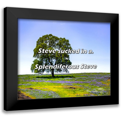 Splendiferous Steve Quote: Steve sucked in a.