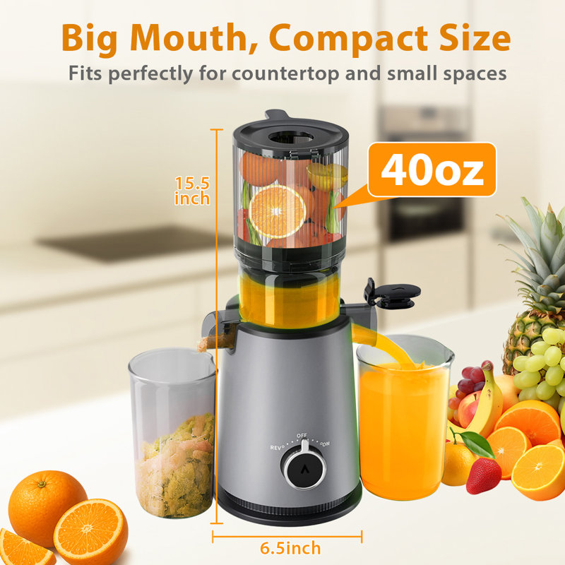 Cold Press Juicer with 4.35" Large Feed Chute Fit Whole Fruits and Vegetables, Slow Masticating Juicer Whole Fruit Juice Maker