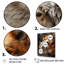 «Dog Akita Affection III», reproduction d'art mural-1808571650-1808571648