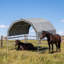 Cadre en acier antirouille pour cheval-125898502