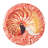 Hashimoto SIDE PLATES S/4 ASSORTED