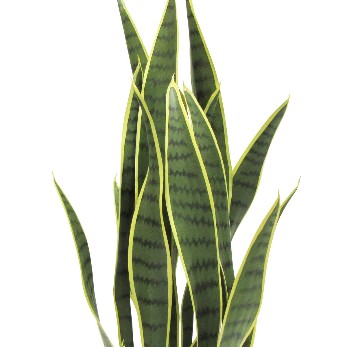 Artificial Sansevieria Snake Plant in Pot, 26" H x 11" W x 11" D