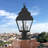 Arelene Lantern Head-917729113-917729117