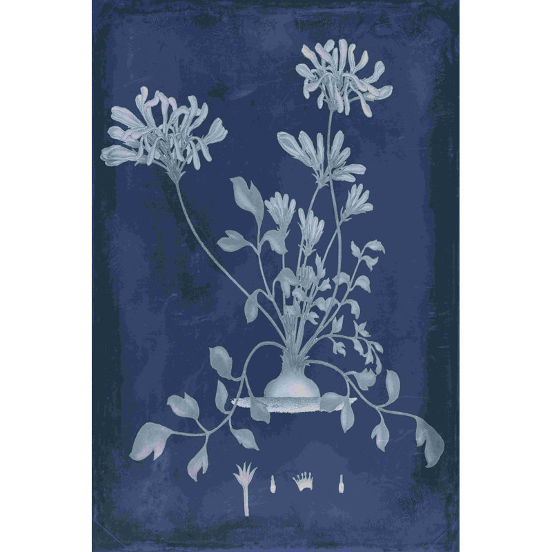Botanique en indigo II, H 18 po x l 12 po