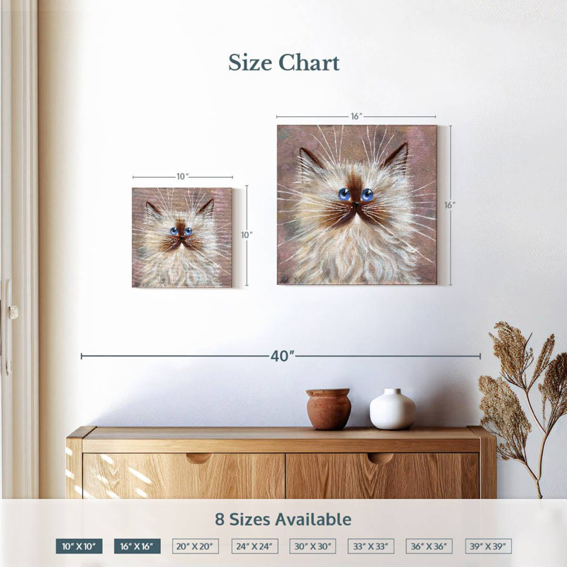Brampt Seal Point Kitten, 10" H x 10" W