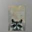 Oh Raccoon by Julia Posokhova - Wrapped Canvas Painting-1750255027