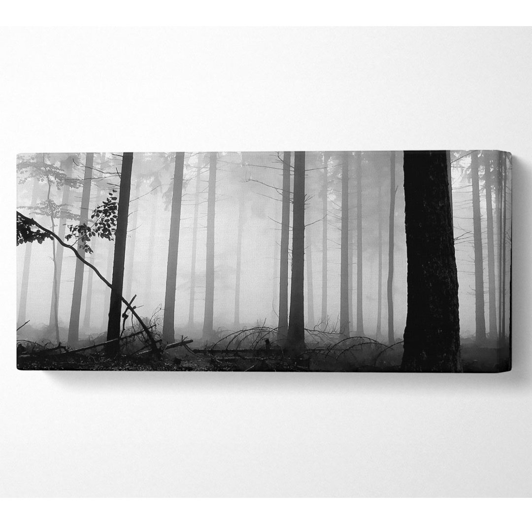 Black N White Woodland Mist - Kunstdrucke auf Leinwand