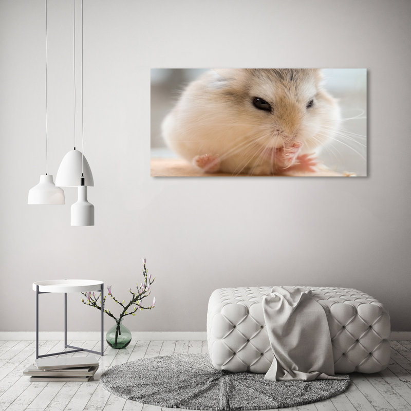 Hamster - Wrapped Canvas Print