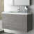 Noyer gris est en rupture de stock