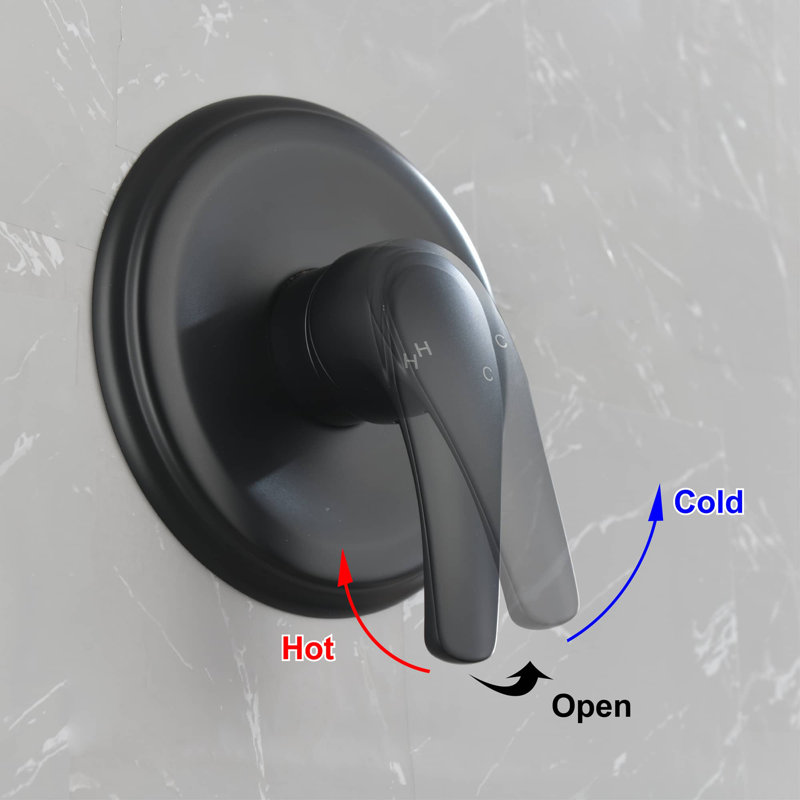 Robinet de douche avec valve brute, Noir mat