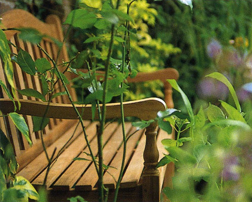 Waveney Outdoor Teak Bench