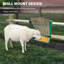 Feeder-89953830