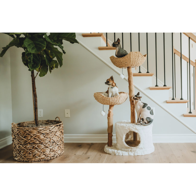 Seeman 45.5'' H Cat Tree, Alpine White