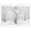 « snow recouvert cottonwood trees » par alan majchrowicz, impression sur toile-31924609-73619765-73619770