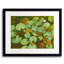 Serenity Lotus Pond II Print by Ruth Hayes-65849340-132457121
